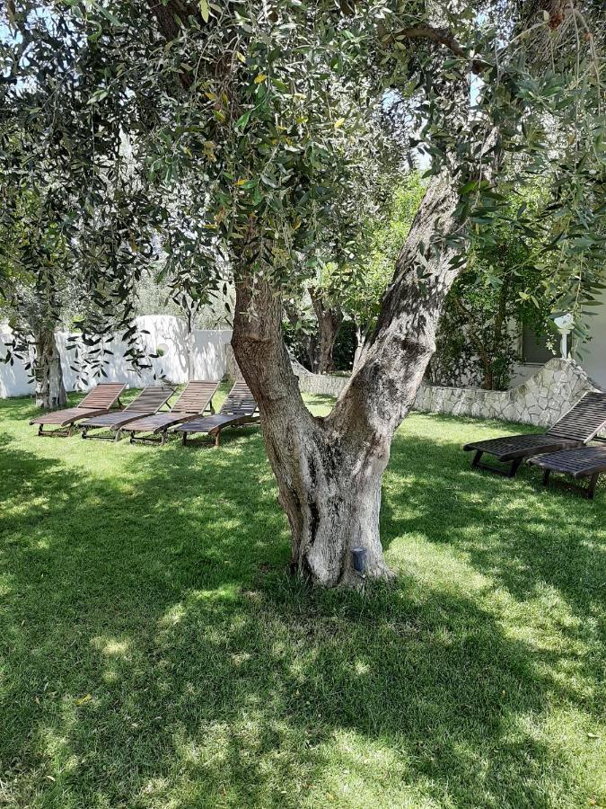 Hotel Il Melograno ماتيناتا المظهر الخارجي الصورة